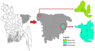 Multidrug-resistant non-typhoidal Salmonella of public health significance recovered from migratory birds in Bangladesh